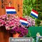 G128 12 Pack Handheld Netherlands Dutch Stick Flags | 8x12 In | Printed 150D Polyester, Country Flag, Solid Wooden Stick, Spear Gold Tip